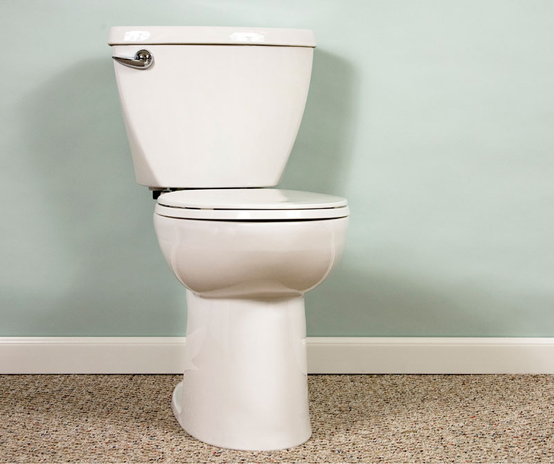 Common Toilet Problems